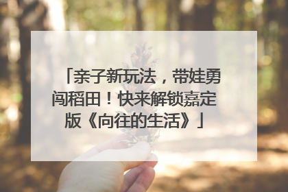 亲子新玩法，带娃勇闯稻田！快来解锁嘉定版《向往的生活》