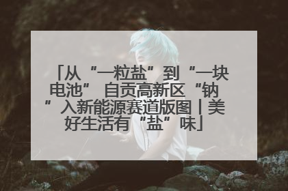 从“一粒盐”到“一块电池” 自贡高新区“钠”入新能源赛道版图丨美好生活有“盐”味