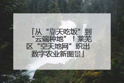 从“靠天吃饭”到“云端种地”！莱芜区“空天地网”织出数字农业新图景