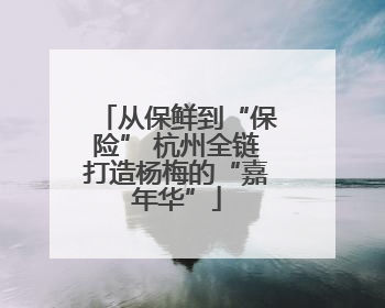 从保鲜到“保险” 杭州全链打造杨梅的“嘉年华”
