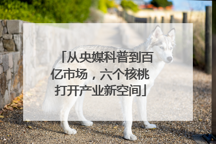 从央媒科普到百亿市场，六个核桃打开产业新空间