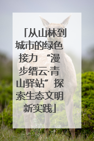 从山林到城市的绿色接力 “漫步缙云·青山驿站”探索生态文明新实践