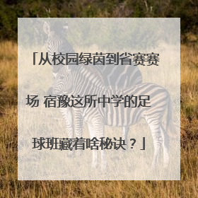 从校园绿茵到省赛赛场 宿豫这所中学的足球班藏着啥秘诀？