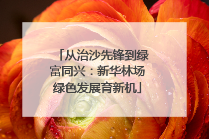 从治沙先锋到绿富同兴：新华林场绿色发展育新机