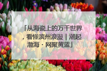 从海瓷上的万千世界，看懂滨州浪漫｜潮起渤海・网聚黄蓝