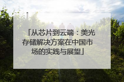 从芯片到云端：美光存储解决方案在中国市场的实践与展望