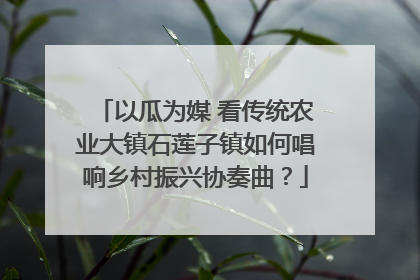 以瓜为媒 看传统农业大镇石莲子镇如何唱响乡村振兴协奏曲？