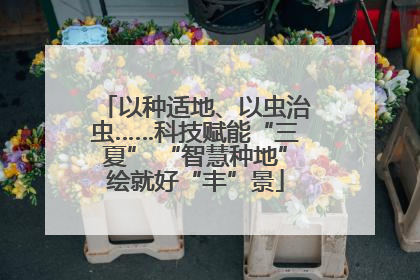 以种适地、以虫治虫……科技赋能“三夏” “智慧种地”绘就好“丰”景