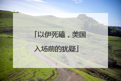 以伊死磕，美国入场前的犹疑
