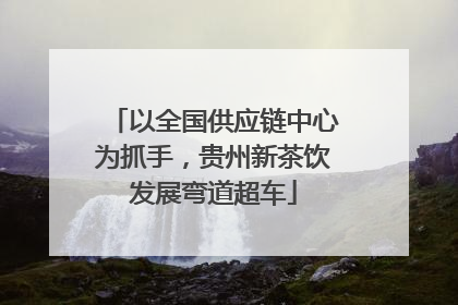 以全国供应链中心为抓手，贵州新茶饮发展弯道超车