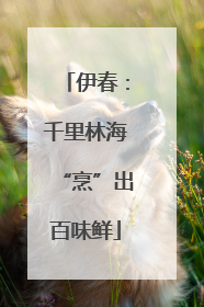 伊春：千里林海“烹”出百味鲜