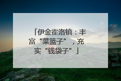 伊金霍洛镇：丰富“菜篮子”，充实“钱袋子”