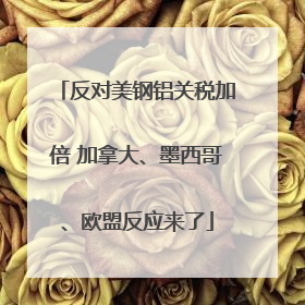 反对美钢铝关税加倍 加拿大、墨西哥、欧盟反应来了