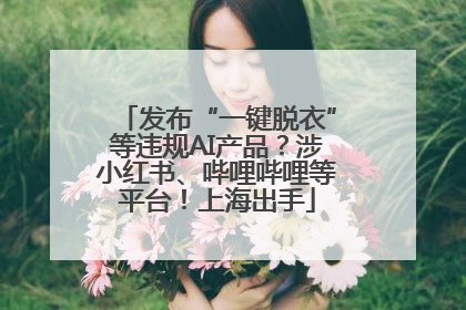 发布“一键脱衣”等违规AI产品？涉小红书、哔哩哔哩等平台！上海出手