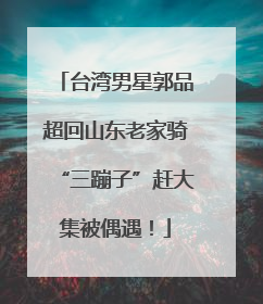 台湾男星郭品超回山东老家骑“三蹦子”赶大集被偶遇！