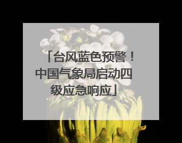 台风蓝色预警！中国气象局启动四级应急响应