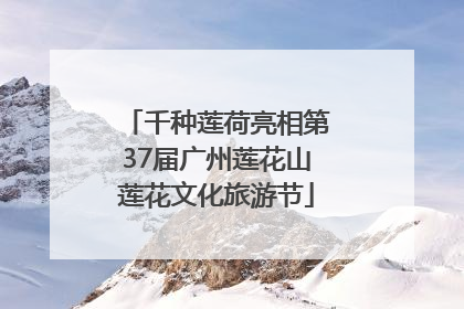 千种莲荷亮相第37届广州莲花山莲花文化旅游节