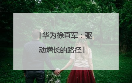 华为徐直军：驱动增长的路径
