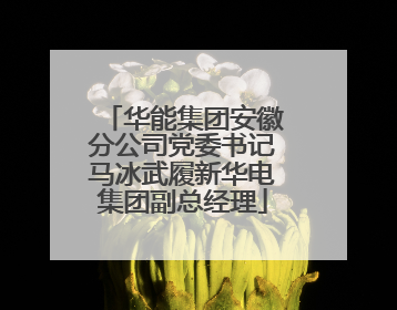 华能集团安徽分公司党委书记马冰武履新华电集团副总经理