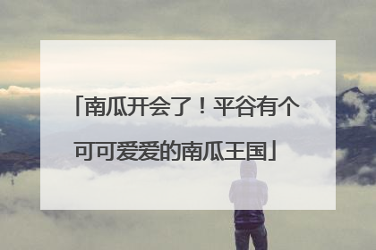 南瓜开会了！平谷有个可可爱爱的南瓜王国