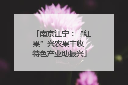 南京江宁：“红果”兴农果丰收 特色产业助振兴