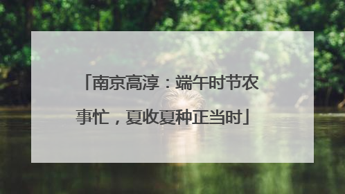 南京高淳：端午时节农事忙，夏收夏种正当时