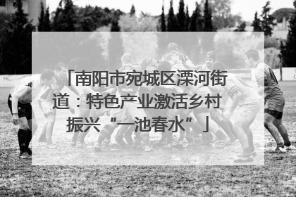南阳市宛城区溧河街道：特色产业激活乡村振兴“一池春水”