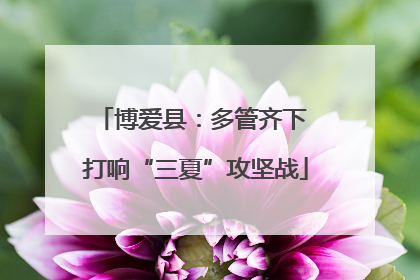 博爱县：多管齐下 打响“三夏”攻坚战