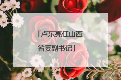 卢东亮任山西省委副书记