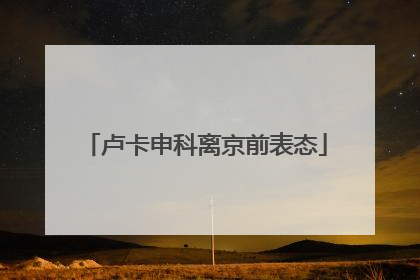 卢卡申科离京前表态