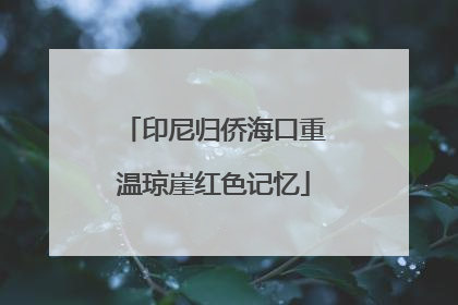 印尼归侨海口重温琼崖红色记忆