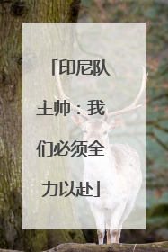 印尼队主帅：我们必须全力以赴
