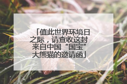 值此世界环境日之际，请查收这封来自中国“国宝”大熊猫的邀请函