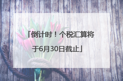 倒计时！个税汇算将于6月30日截止