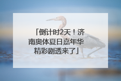 倒计时2天！济南奥体夏日嘉年华精彩剧透来了