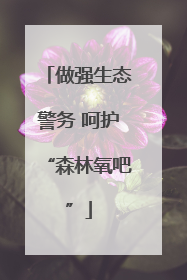 做强生态警务 呵护“森林氧吧”