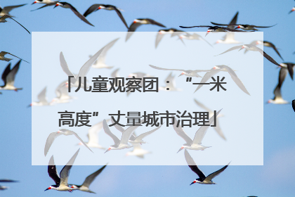 儿童观察团：“一米高度”丈量城市治理