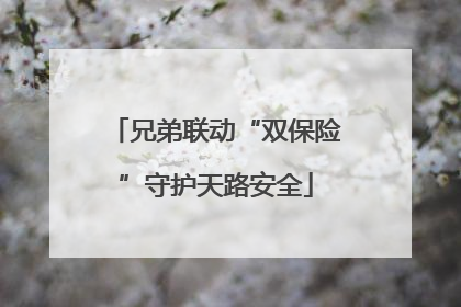 兄弟联动“双保险”守护天路安全