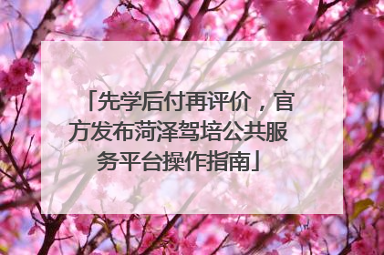 先学后付再评价，官方发布菏泽驾培公共服务平台操作指南