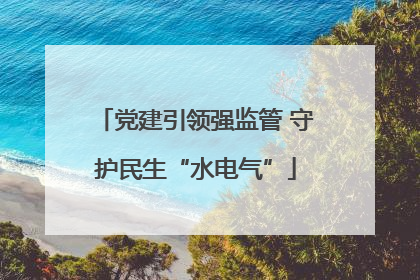 党建引领强监管 守护民生“水电气”