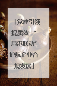 党建引领提质效 “局港联动”护航企业合规发展