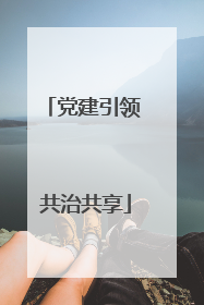 党建引领 共治共享