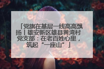 党旗在基层一线高高飘扬丨雄安新区雄县黄湾村党支部：在老百姓心里，筑起“一座山”
