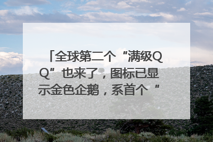 全球第二个“满级QQ”也来了，图标已显示金色企鹅，系首个“满级QQ”的小号