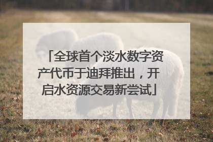 全球首个淡水数字资产代币于迪拜推出，开启水资源交易新尝试