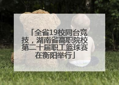 全省19校同台竞技，湖南省高职院校第二十届职工篮球赛在衡阳举行