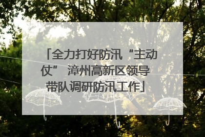 全力打好防汛“主动仗” 漳州高新区领导带队调研防汛工作