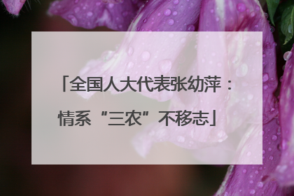 全国人大代表张幼萍：情系“三农”不移志