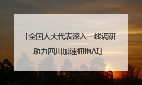 全国人大代表深入一线调研 助力四川加速拥抱AI