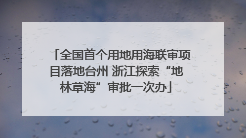 全国首个用地用海联审项目落地台州 浙江探索“地林草海”审批一次办
